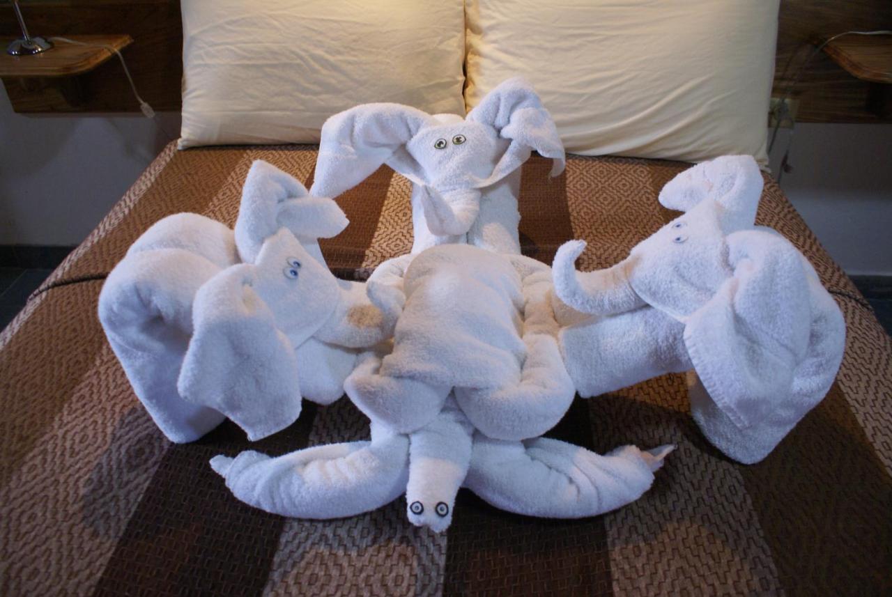 בוקס דל טורו Hotel Posada Los Delfines מראה חיצוני תמונה
